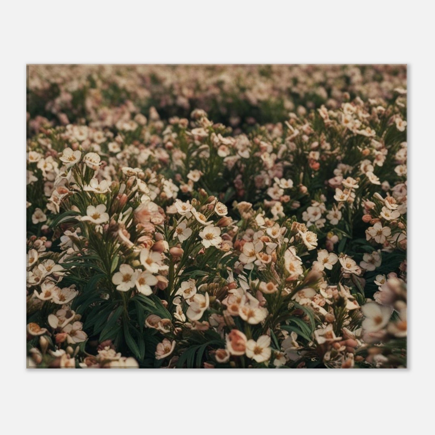 1da1f138-c04d-4b6f-bf0c-f74479fbd8f3