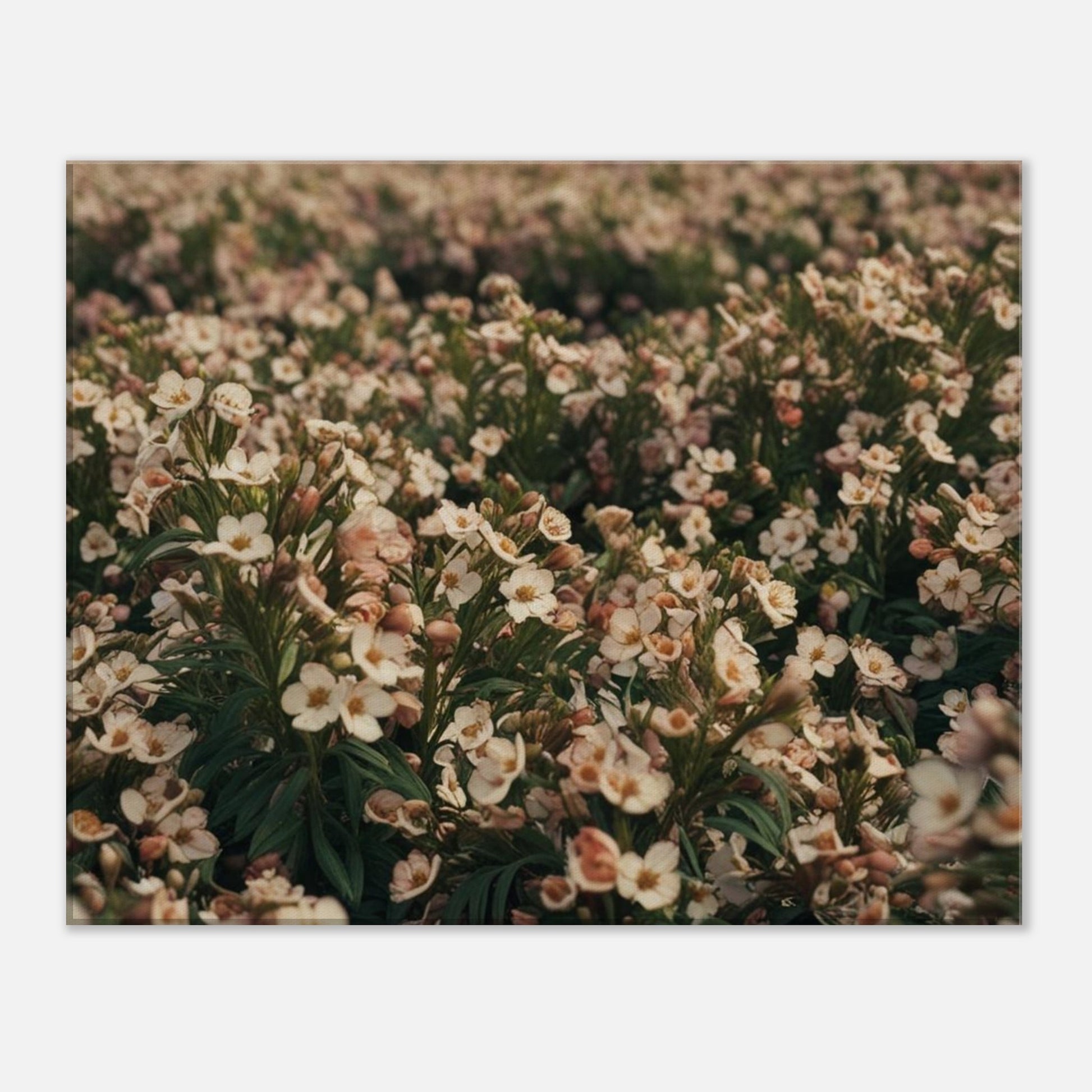 1da1f138-c04d-4b6f-bf0c-f74479fbd8f3