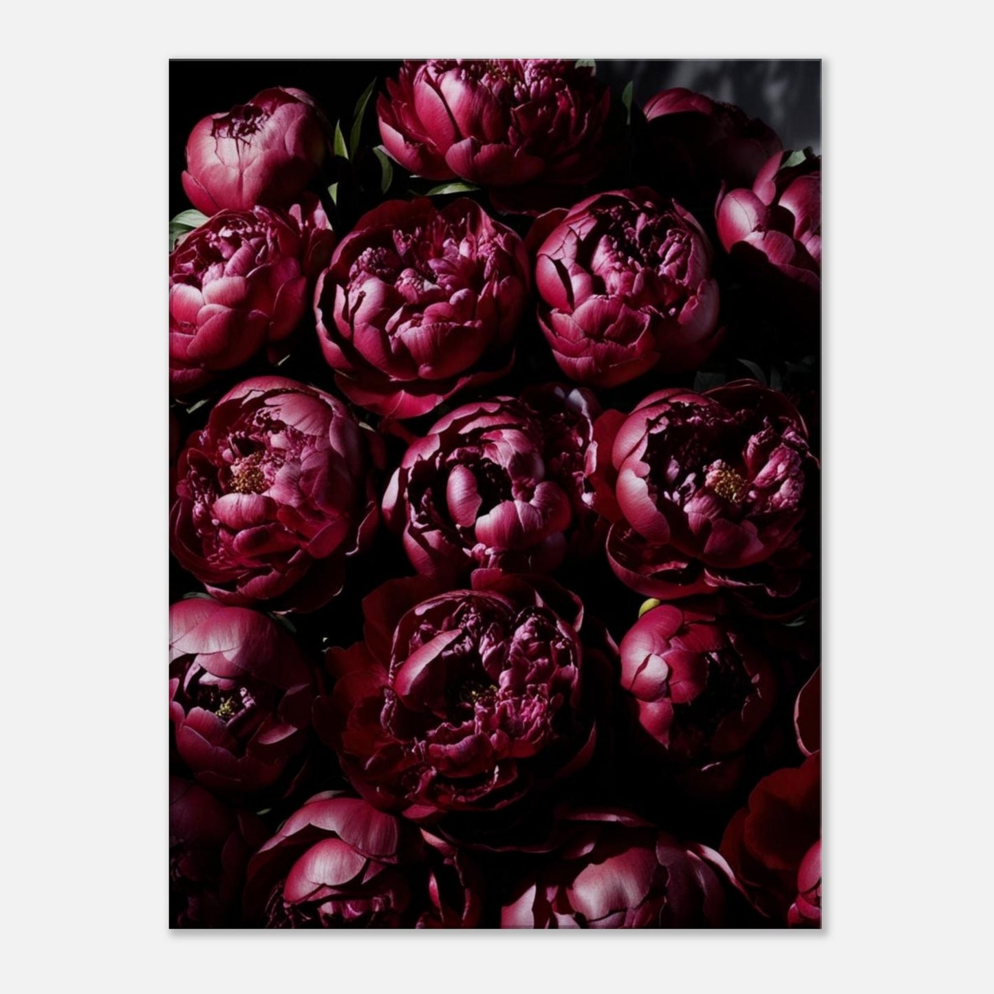 4f82d9b2-fc1c-4e94-be1f-644dc466e98c