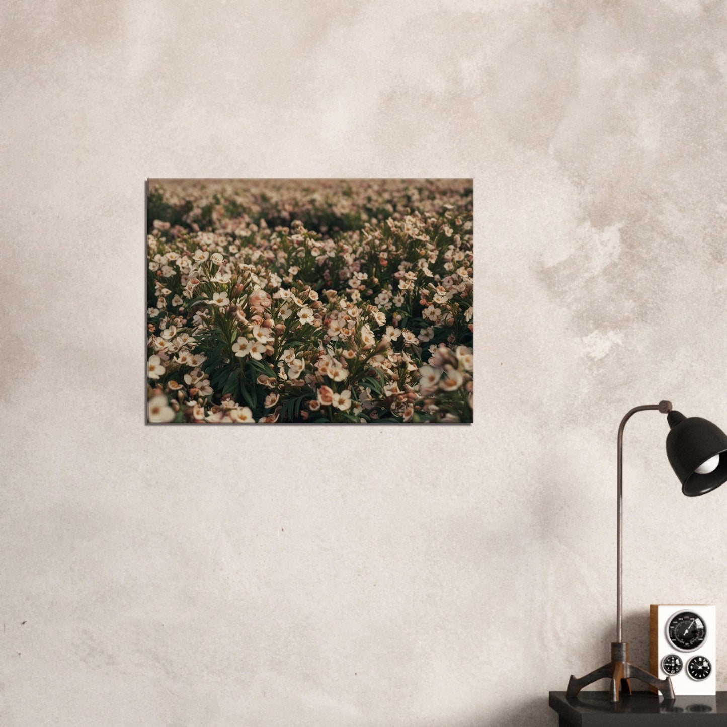 5d2f6a23-19b8-4290-b0ca-9902b61b6dec