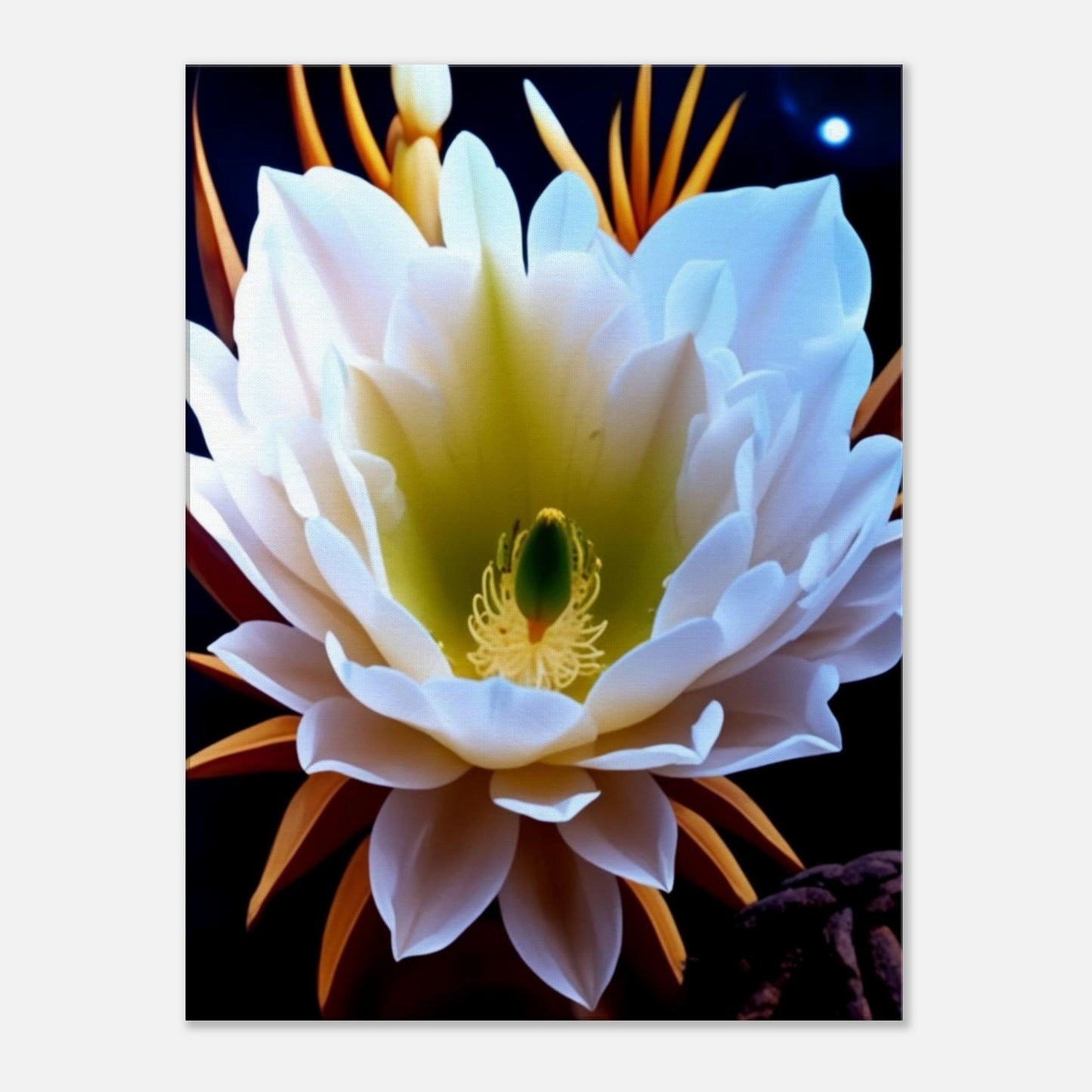 6d6275a1-0708-43c8-bd49-a4490aaaa6c5