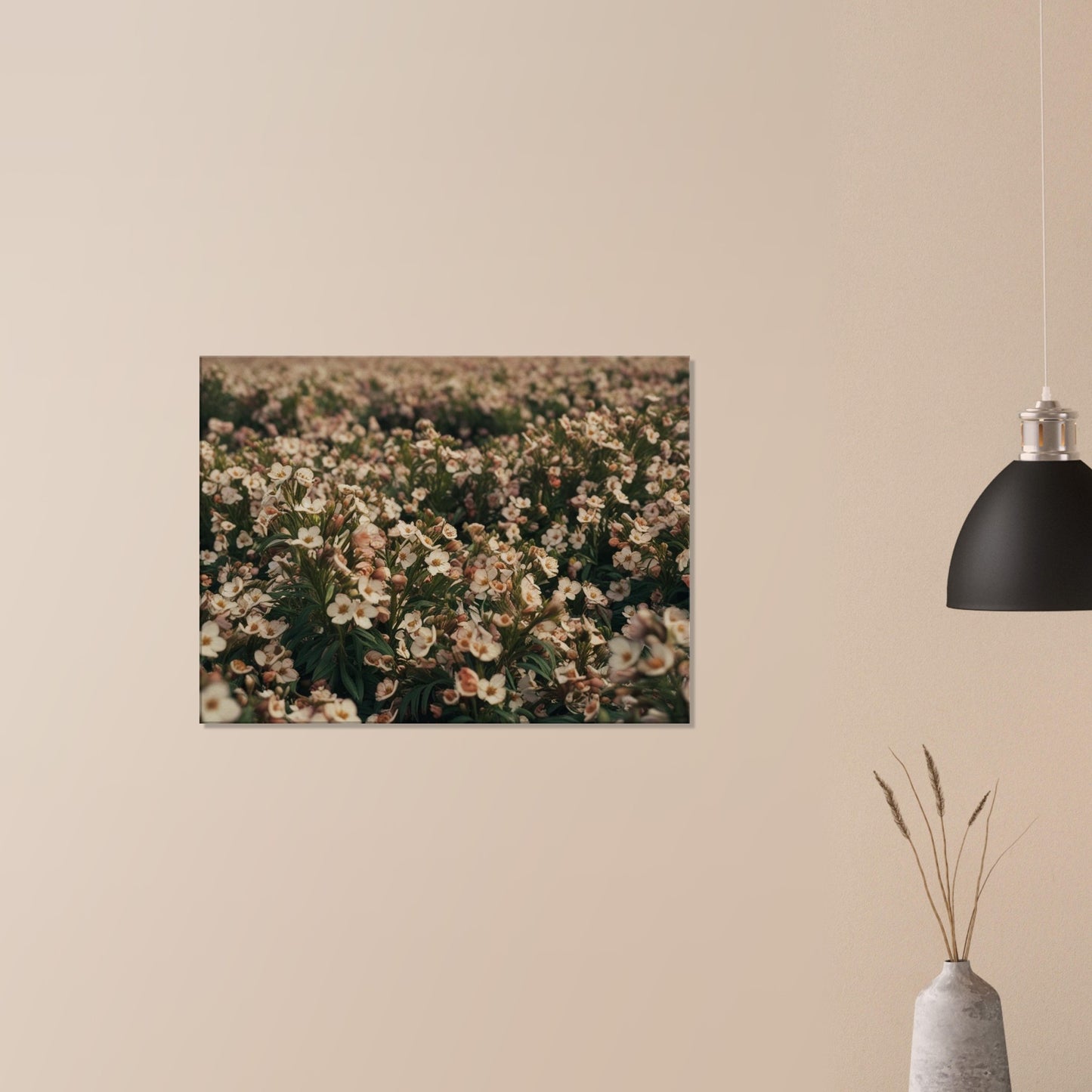 82ccfdae-dbd1-4a4c-81c3-f063cf6ca5de