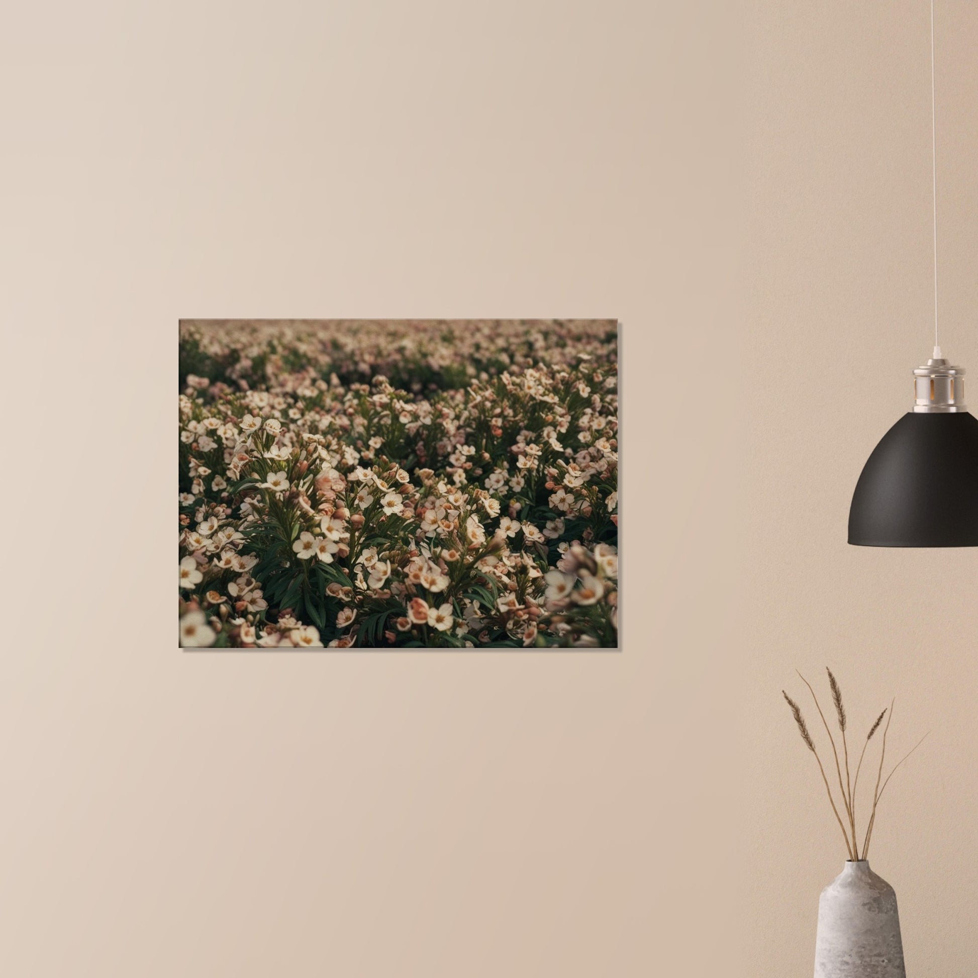 82ccfdae-dbd1-4a4c-81c3-f063cf6ca5de