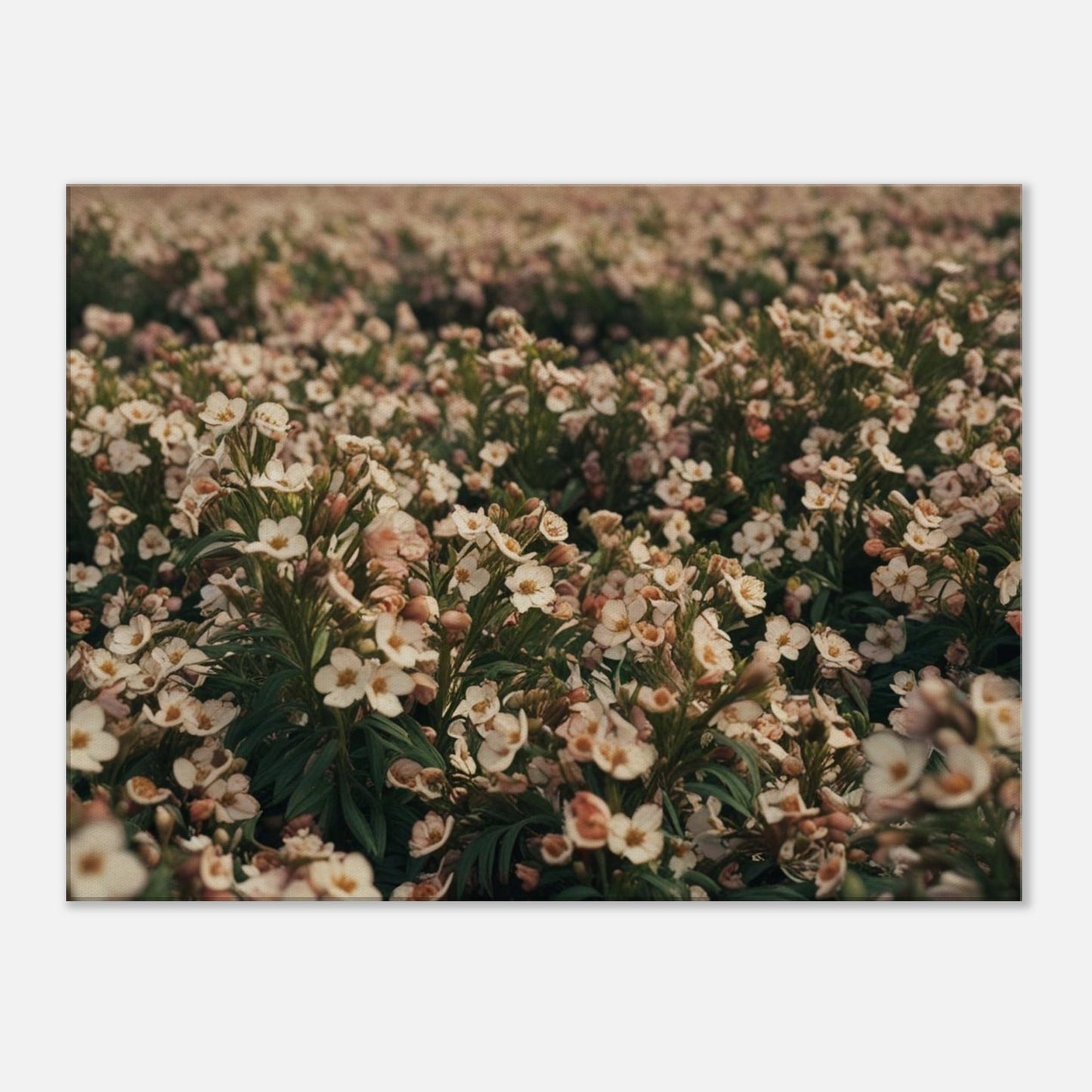 b540d337-a12e-4586-82dd-3240dd3f6224