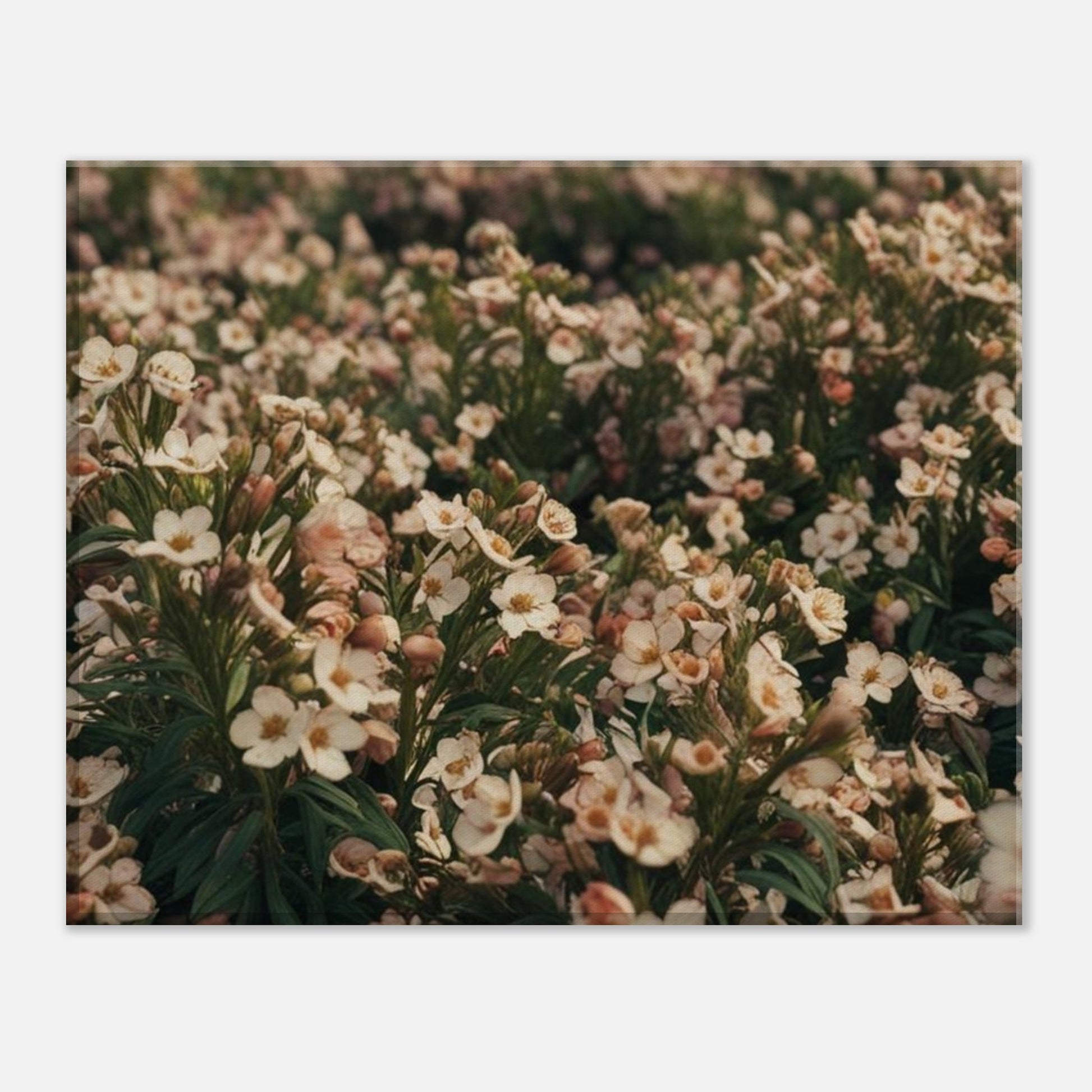 ec4ced98-05cb-4c55-acdb-08c76882a9ff